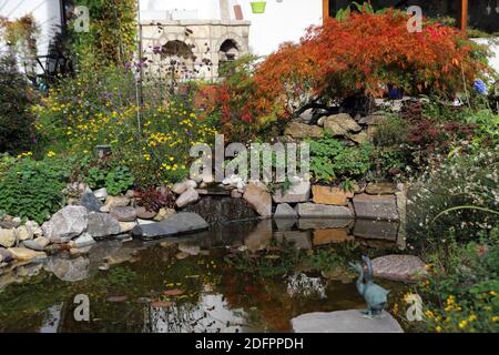 Herbstfarben am Gartenteich, Weilerswist, Nordrhein-Westfalen, Deutschland Stockfoto