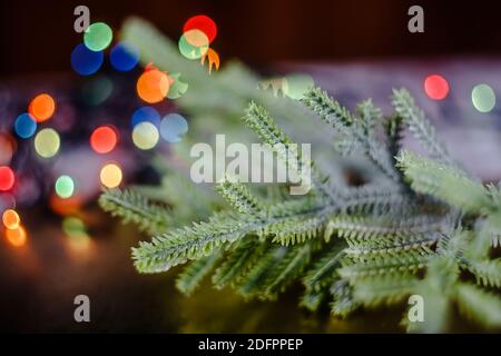 Weihnachtskomposition mit Tannenzweigen und Bokeh Stockfoto