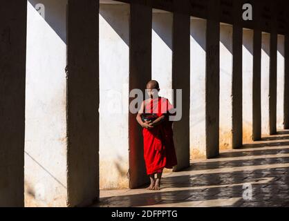 Anfänger buddhistischer Mönch in östliche Treppe weg der Shwezigon Pagode in Nyaung U, Bagan, Myanmar (Burma), Asien im Februar - Spalten und Schatten Stockfoto