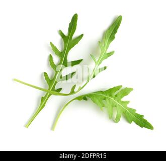 Frische grüne Rucola Blätter isoliert auf weißem Hintergrund, Draufsicht Stockfoto