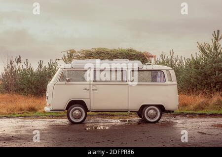 1972 VW Bay Window Campervan geparkt mit Weihnachtsbaum auf Dach. Stockfoto