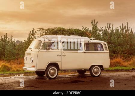 Vintage-Wohnmobil mit frisch geschnittenem Weihnachtsbaum auf dem Dach. Stockfoto