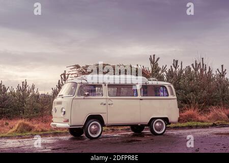 Vintage-Wohnmobil mit frisch geschnittenem Weihnachtsbaum auf dem Dach. Stockfoto