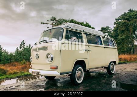 Vintage-Wohnmobil mit frisch geschnittenem Weihnachtsbaum auf dem Dach. Stockfoto