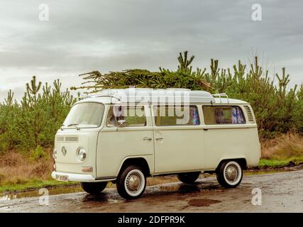 1972 VW Bay Window Campervan parkte mit einem Weihnachtsbaum auf dem Dach. Stockfoto