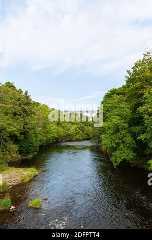 Schiffbare Pontcysyllte Aquädukt, trägt die Llangollen Kanal Gewässer über den Fluss Dee im Tal von Llangollen im Nordosten von Wales. Stockfoto