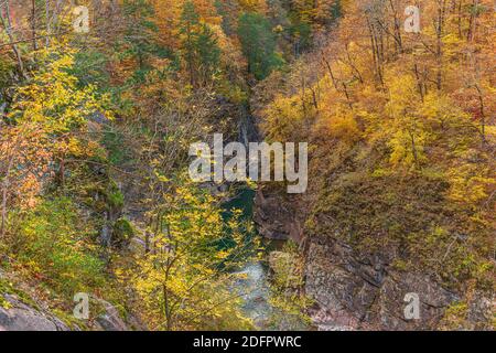 Belaya Flussbett am Fuße einer tiefen Schlucht, Schlucht, in der Republik Adygea in Russland Stockfoto