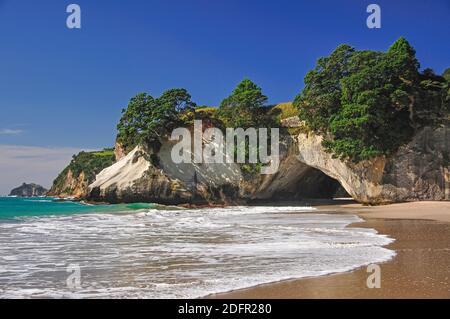 Cathedral Cove Beach, Te Whanganui-A-Hei Marine Reserve, Coromandel Halbinsel, Waikato Region, Nordinsel, Neuseeland Stockfoto