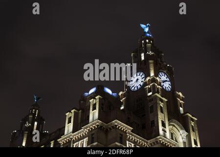 Die beiden in der Nacht im Dezember 2020 gefangenen Lebervögel saßen auf dem Royal Liver Building in Liverpool. Stockfoto
