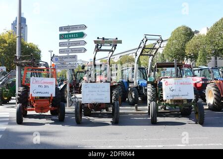 Am 12. Oktober 2018 versammeln sich Menschen vor der Präfektur Nantes, Westfrankreich, um Menschen zu unterstützen, die sich selbst als "zadistes" aus dem französischen Wort "Zone A Defendre" (ZAD) bezeichnen und den Standort eines verlassenen Flughafenprojekts in der Nähe der westlichen Stadt Nantes in Notre-Dame-des-Landes verteidigen, Während eines Lenkungsausschusses über die Zukunft von Ackerland in der ZAD (Zone to Defend). Foto von Ronan Hussin/ABACAPRESS.COM Stockfoto