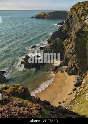 Coastline, Llangrannog, Ceredigion, Wales Stockfoto