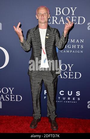 Floh nimmt an der Premiere von Focus Features' 'Boy Erased' bei der Directors Guild of America am 29. Oktober 2018 in Los Angeles, CA, USA Teil. Foto von Lionel Hahn/ABACAPRESS.COM Stockfoto