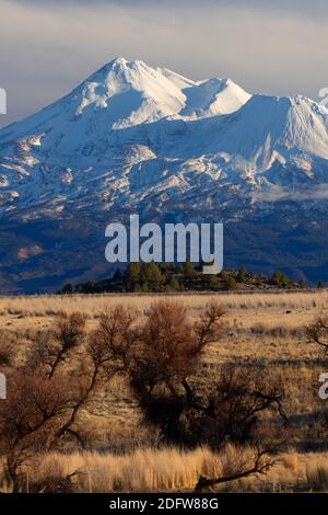 Grasland Blick auf Mt Shasta, Shasta Valley Wildlife Area, Kalifornien Stockfoto