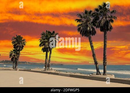 Ventura California Beach plaza Palmen mit Pier im Hintergrund und Sonnenuntergang Himmel. Stockfoto