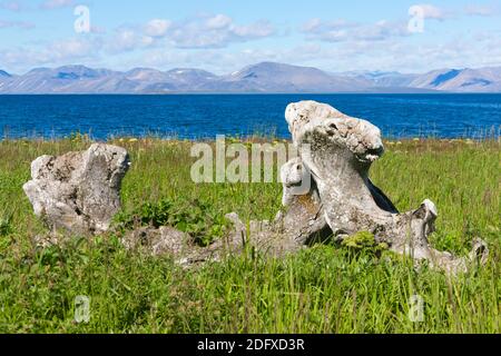 Wal-Kieferknochen, Yttygran Insel, Beringmeer, russischen Fernen Osten Stockfoto