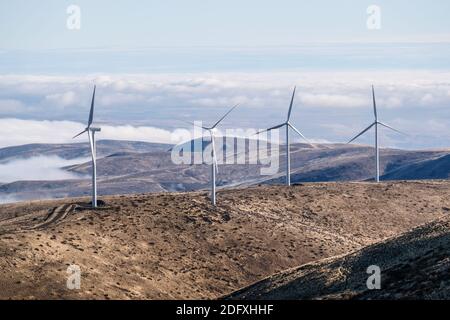 Riesige Windkraftanlagen im Columbia River Basin im Osten von Washington Stockfoto