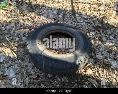 Schmutzige alte Gummireifen im Wald. Unzulässig Stockfoto