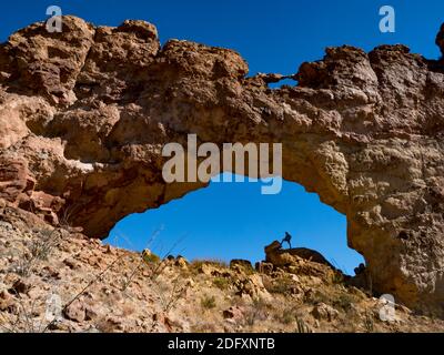 Ein Wanderer genießt den natürlichen Bogen in Arch Canyon, Organ Pipe Cactus National Monument, Arizona, USA Stockfoto