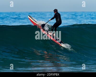 Stand Up Paddlebarder genießen die Wellen im La Jolla Shores, San Diego, Kalifornien, USA Stockfoto