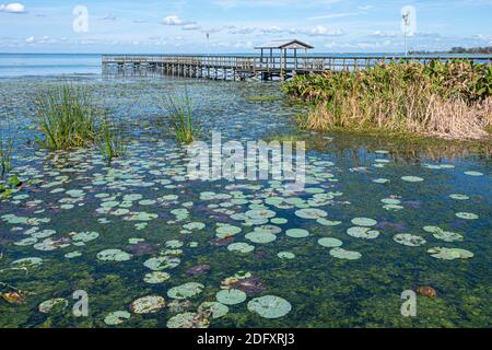 Lake Apopka im Winter Garden in Orange County, Florida. (USA) Stockfoto