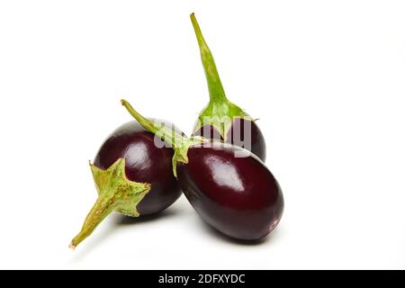 Frische Auberginen Nahaufnahme auf weißem Hintergrund Stockfoto