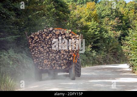 Holzfäller Traktor auf Forststraße Stockfoto