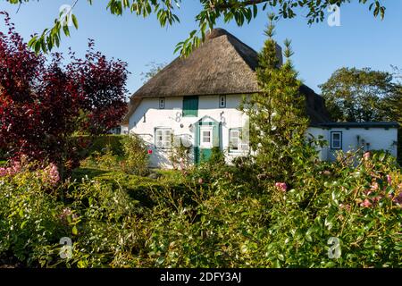 Amrum, Deutschland - 15. Oktober 2020: Reethaus mit Blumen davor Stockfoto