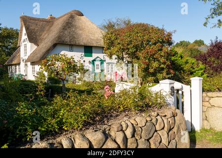 Amrum, Deutschland - 15. Oktober 2020: Traditionelles Reethaus mit großem Garten Stockfoto