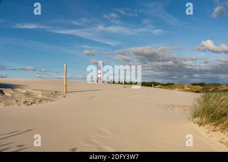 Leuchtturm von Amrum, Deutschland, am Abend Stockfoto