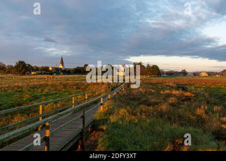 Morninglight in Nebel, Amrum, Deutschland Stockfoto