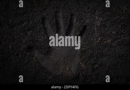 Handdruck in schwarzem Land für Pflanzenhintergrund, Draufsicht von Handprint auf frischem Boden mit Mulch für Gartenstruktur, World Soil Day Konzept Stockfoto