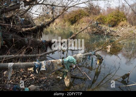 Ganderbal, Indien. Dezember 2020. Plastiktüten hängen an Bäumen an der Grenze des Flusses sindh in Ganderbal Kaschmir.EIN Tal zwischen dem Great Himalayan Range und dem Pir Panjal Bergkette, Kaschmir ist ein Ort der schönen Einfachheit und unberührte natürliche Schönheit. Kaschmir hat eine Vielzahl von Terrains von Seen, schneebedeckten Bergen, Nadelbäumen küsste Hügel zu Gletscher gespeist Flüsse. Kredit: SOPA Images Limited/Alamy Live Nachrichten Stockfoto