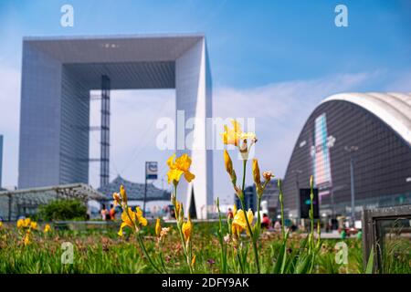 Statische Aufnahme blühender Blumen im Geschäftsviertel La Defense In Paris mit Wolkenkratzern im Hintergrund Stockfoto