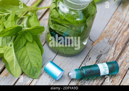 Wasserminze-Tinktur, Wasserminzen-Tinktur, alkoholischer Auszug, Tinktur, Tinkturen, Roll-On, Roll On, Wasserminze, Wasser-Minze, Minze, Mentha aquati Stockfoto