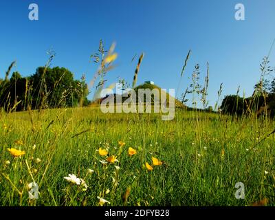 Blick auf die Landpyramide im Hintergrund in Branitzer Parken Stockfoto