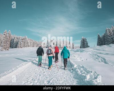 Eine Gruppe von Freunden begibt sich auf eine Schneeschau-Wanderung. Die 4 erwachsenen Freunde gehen einen schneebedeckten Weg hinunter vor einer blauen Himmelskulisse in einem Winterwunderl Stockfoto