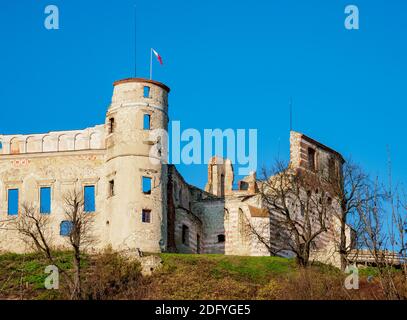 Schloss Janowiec, Woiwodschaft Lublin, Polen Stockfoto