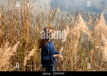 Ein Mädchen mit langen Haaren am Ufer eines see im hohen goldenen Gras von Schilf Stockfoto