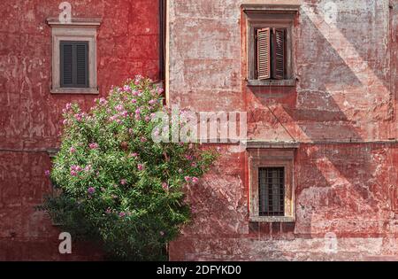 Farbige Wände und Fenster in Rom am Mittag Stockfoto