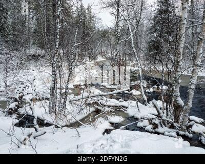 Winter Bergfluss in Karelien fließt durch den Wald. Die Kraft der wilden majestätischen Natur Stockfoto