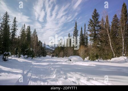 Die Skipisten liegen auf Schnee in einem Nadelwald, an einem sonnigen Wintertag. Stockfoto