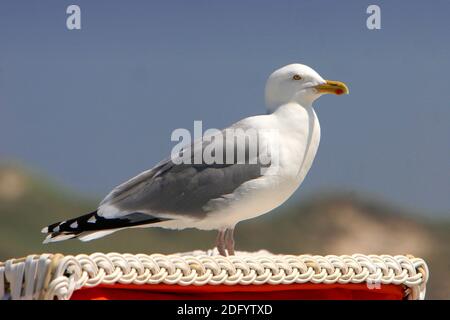 Alles unter Kontrolle Stockfoto