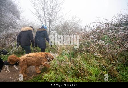 Brighton UK 7. Dezember 2020 - Hundewanderer begeben sich in den eisigen Nebel am Devils Dike auf dem South Downs Way nördlich von Brighton. Es wurde prognostiziert, dass heute in einigen Teilen Großbritanniens dichter Nebel herrschen wird, was die Fahrbedingungen schwierig macht : Credit Simon Dack / Alamy Live News Stockfoto