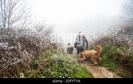 Brighton UK 7. Dezember 2020 - Hundewanderer begeben sich in den eisigen Nebel am Devils Dike auf dem South Downs Way nördlich von Brighton. Es wurde prognostiziert, dass heute in einigen Teilen Großbritanniens dichter Nebel herrschen wird, was die Fahrbedingungen schwierig macht : Credit Simon Dack / Alamy Live News Stockfoto