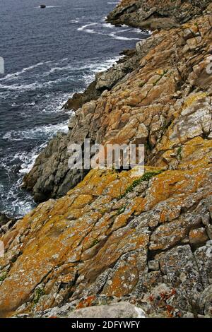 Cap Sizun, Schloss Koz Stockfoto