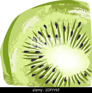 Pastellfarbene Scheibe Kiwi-Frucht. Handgezeichnete Kunst. Vektor Stock Vektor