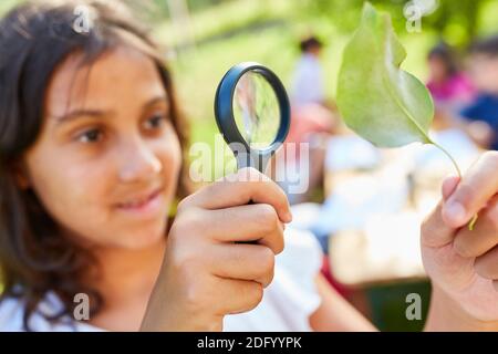 Mädchen im Sommerlager Biologiekurs neugierig schaut auf Blatt Durch Vergrößerungsglas Stockfoto