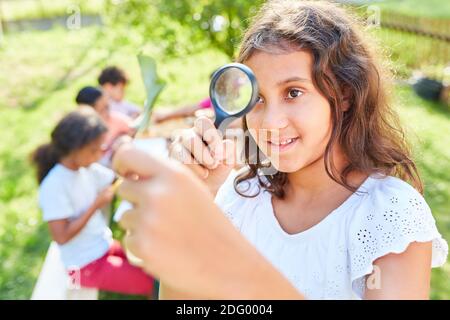Mädchen im Sommer Biologie-Kurs schaut auf Blatt durch Vergrößerungsfunktion Glas und lernt über Pflanzen Stockfoto