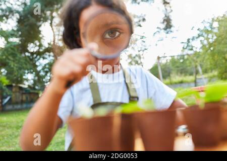 Mädchen sieht eine Pflanze durch eine Lupe hinein Das Biologieprojekt im Ferienlager Stockfoto