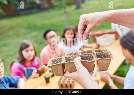 Hand Aussaat Samen im Biologieurlaub Kurs in der Ökologisches Sommercamp Stockfoto